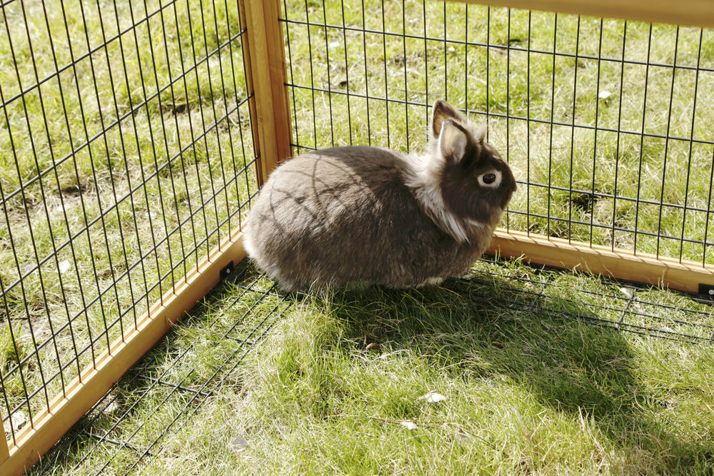 Kaninchen Gehege Freilaufgehege mit Ausbruchsperre Holz