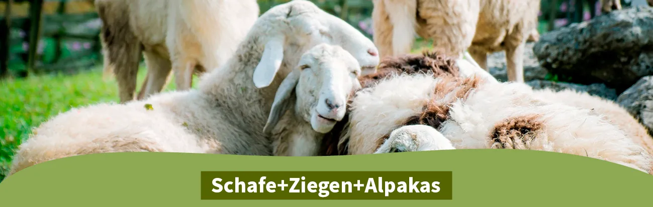 ELW Hobbyfarming Titelbilder Schafe-Ziegen-Alpakas